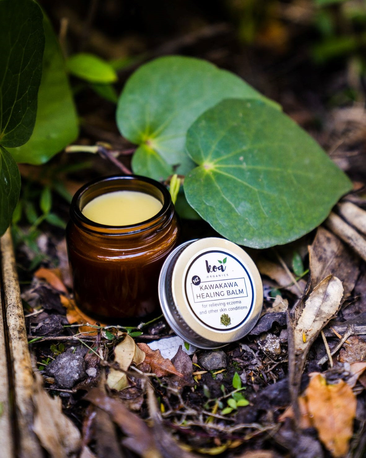 Nature knows best kawakawa healing balm from the forest